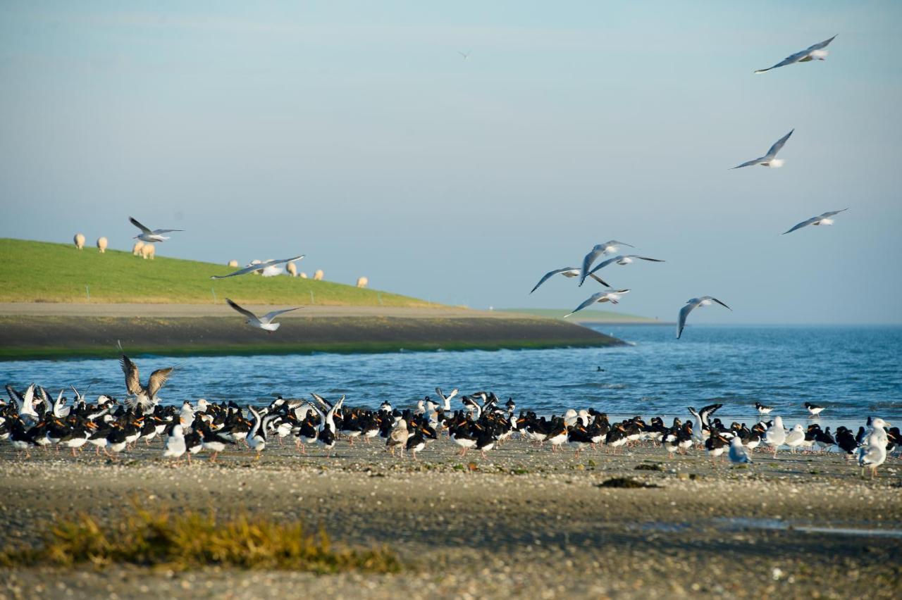 Hotel Breeze Ameland Hollum  Esterno foto